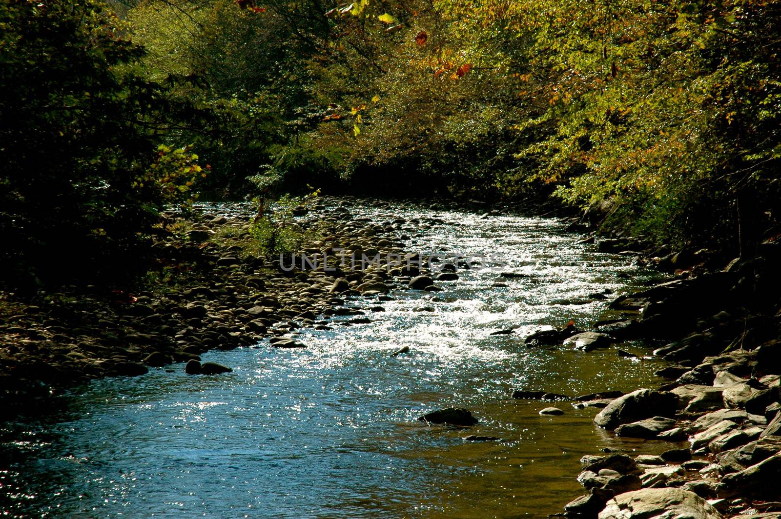 Gatlinburg by RefocusPhoto