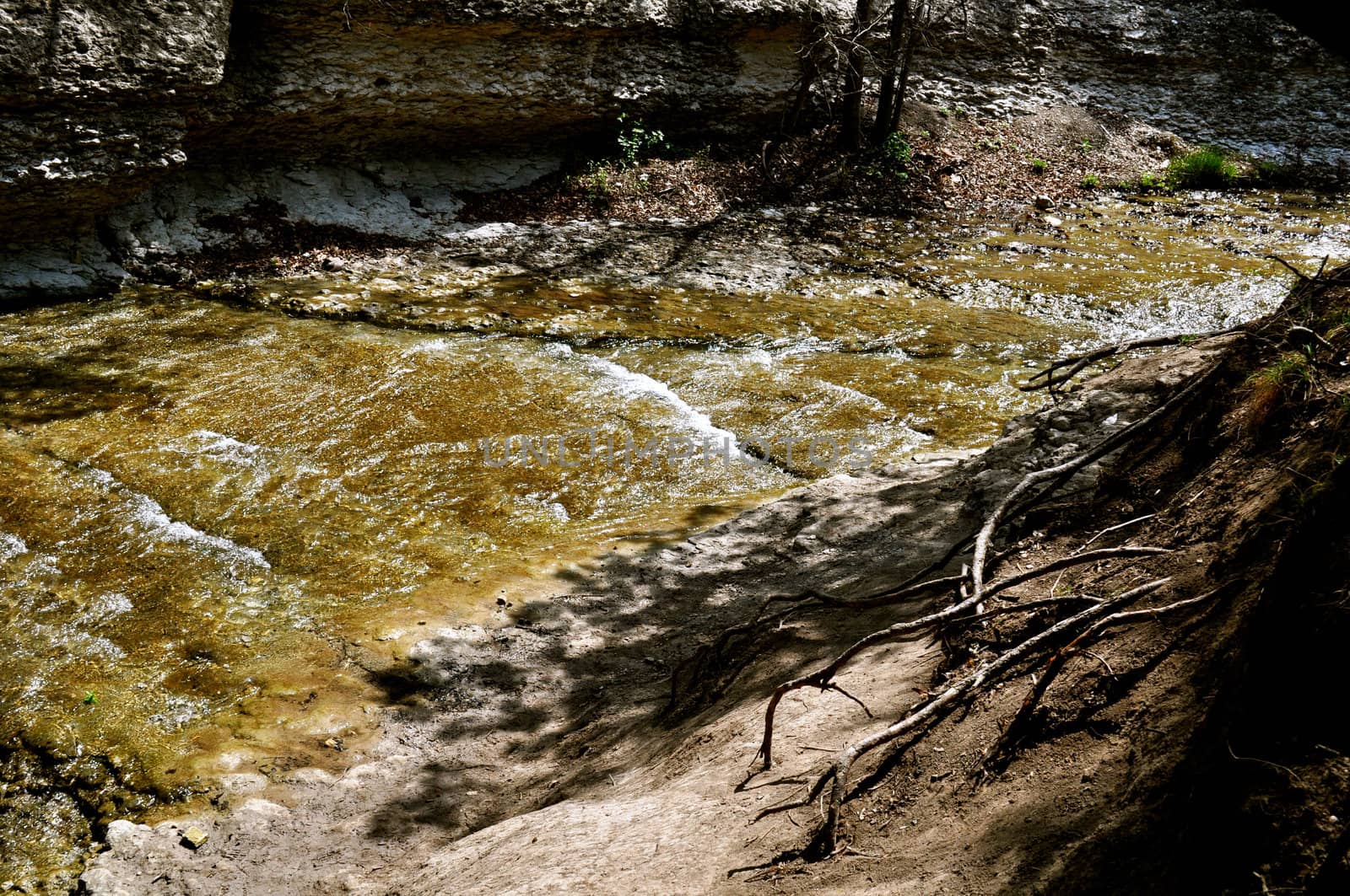 River through the tree by RefocusPhoto