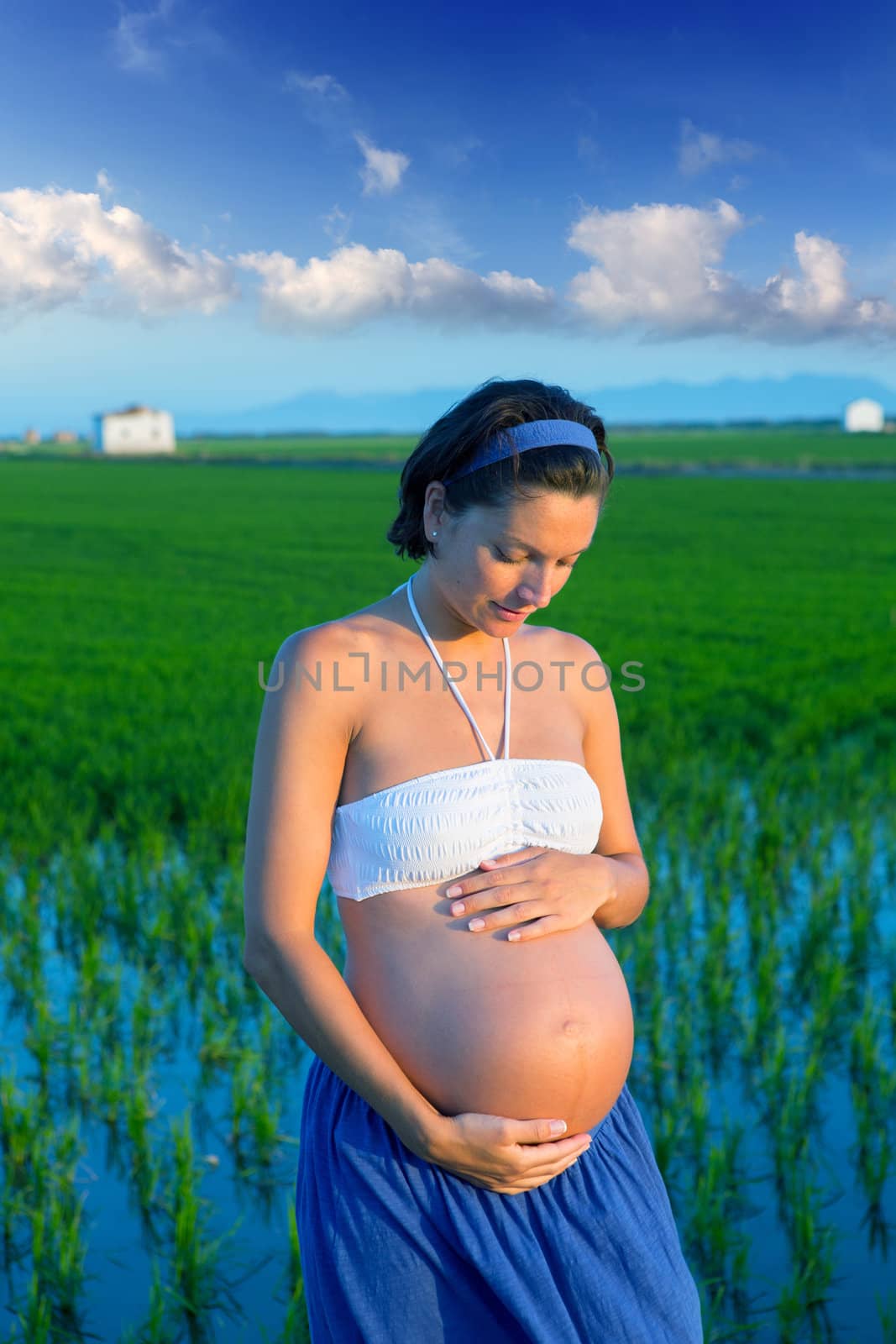 Beautiful pregnant woman walking outdoor nature on green rice fields