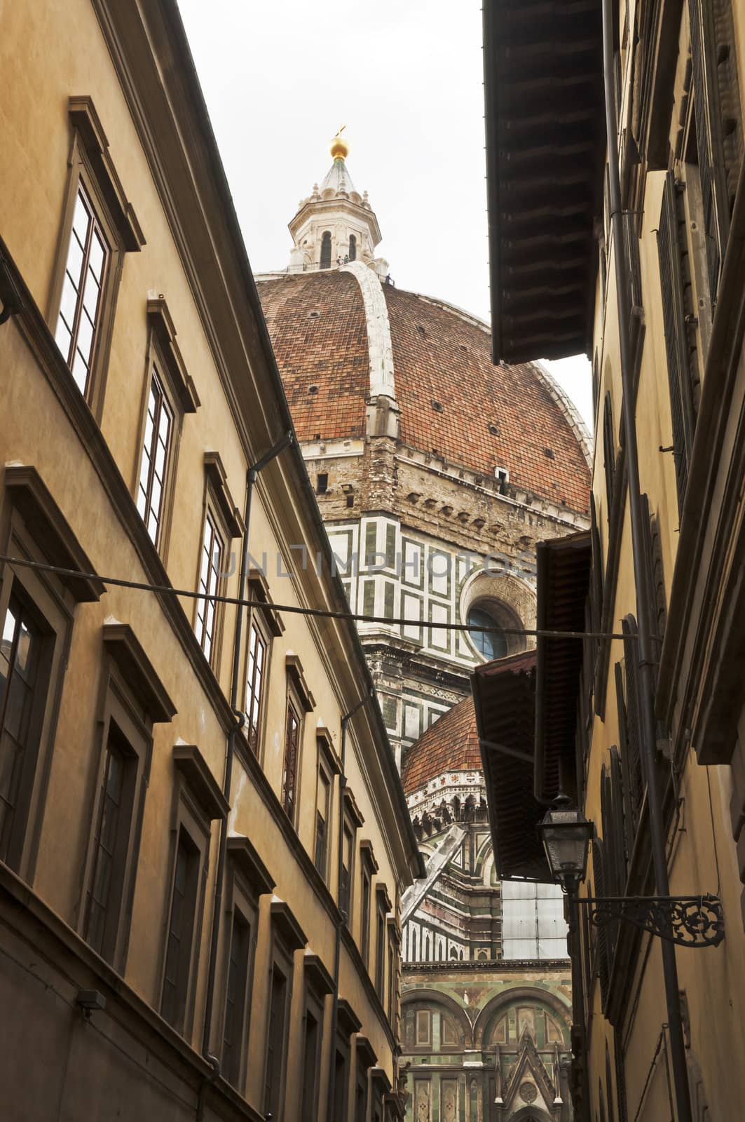 view of the dome and the church of St. Maria Novella in Florence