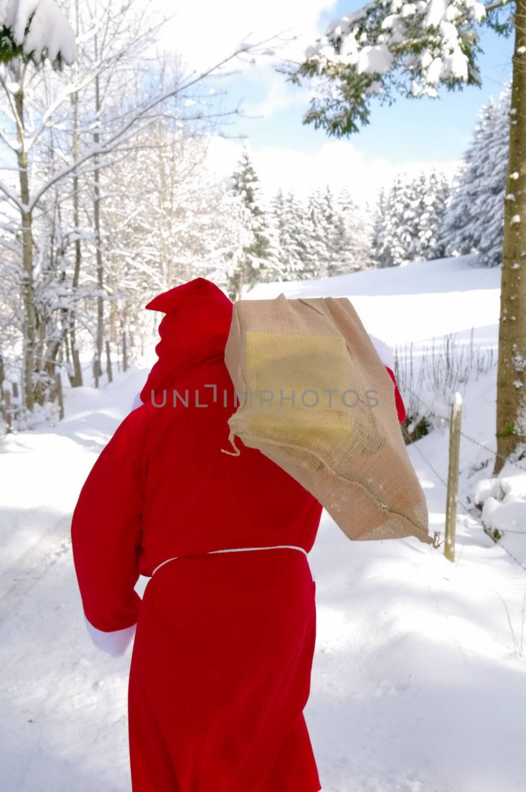 Santa Claus, Father Christmas in a beautiful winter landscape