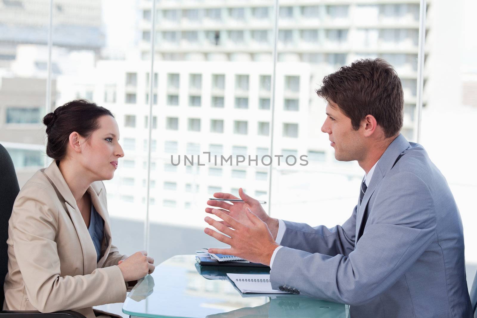 Young business team negotiating in a meeting