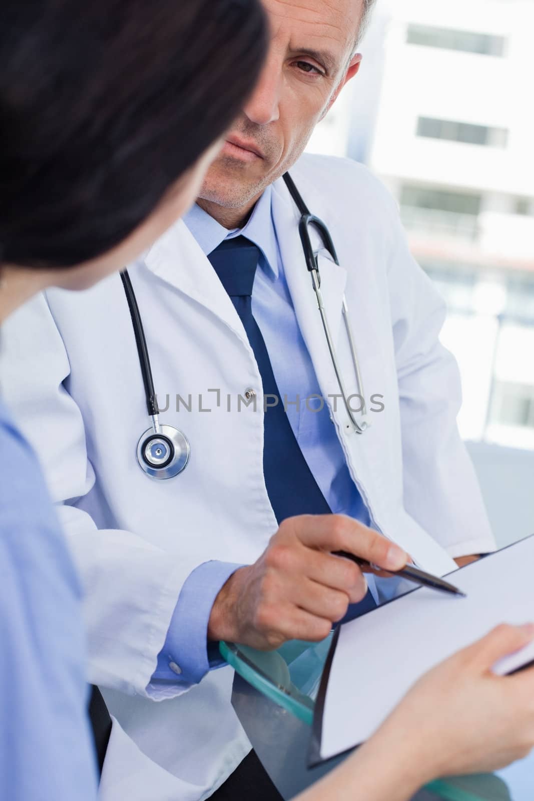 Portrait of a focused medical team looking a document in an office