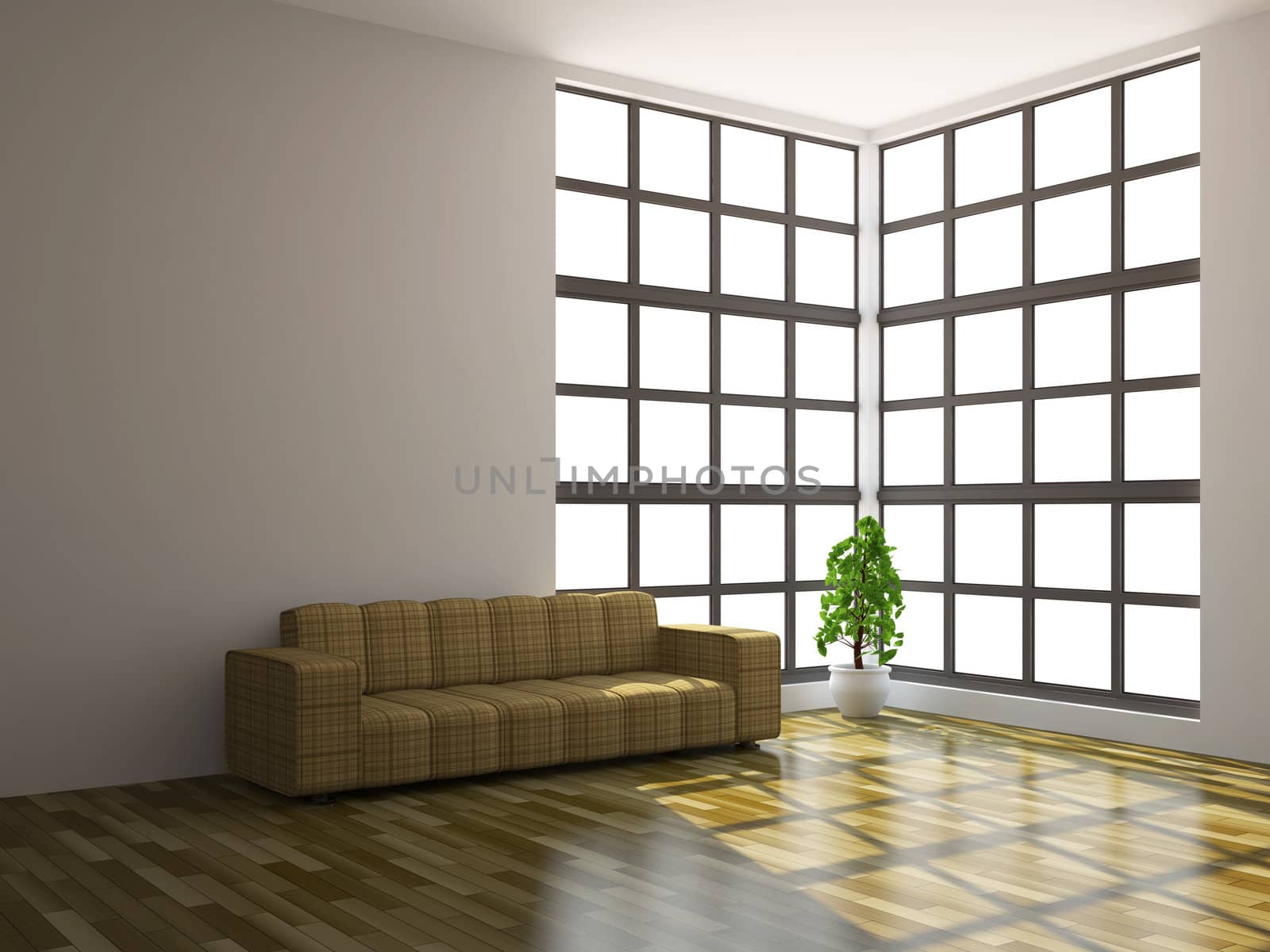 Big sofa and plant near a window