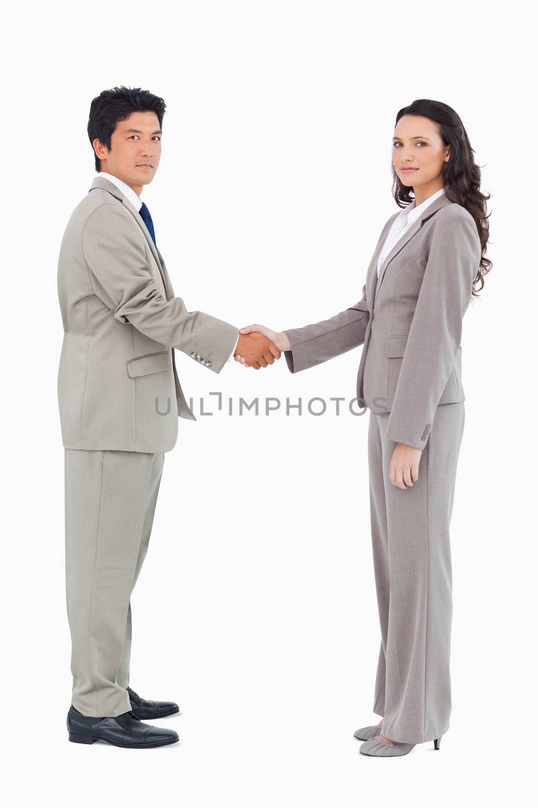 Side view of trading partners shaking hands against a white background