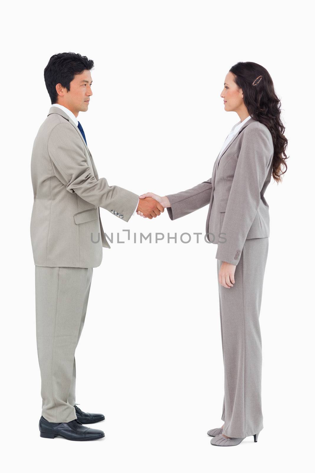 Side view of hand shaking trading partners against a white background