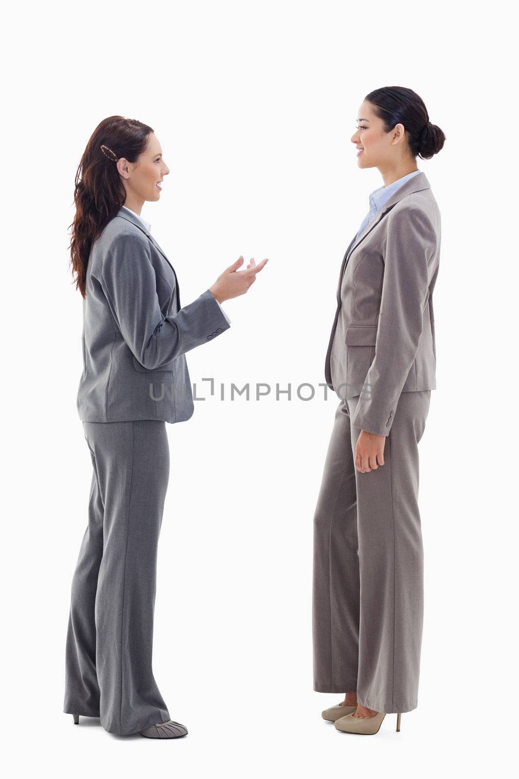 Two businesswomen talking face to face against white background