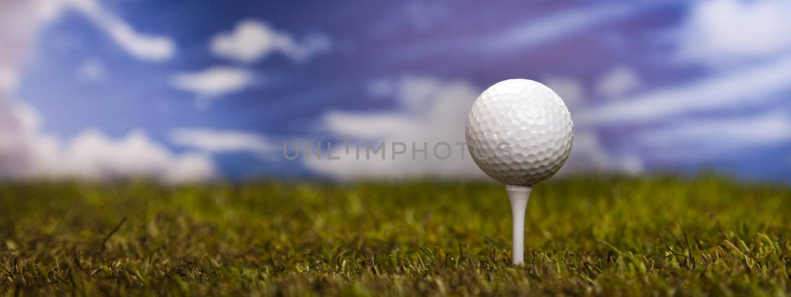 Golf ball on green grass over a blue sky by JanPietruszka