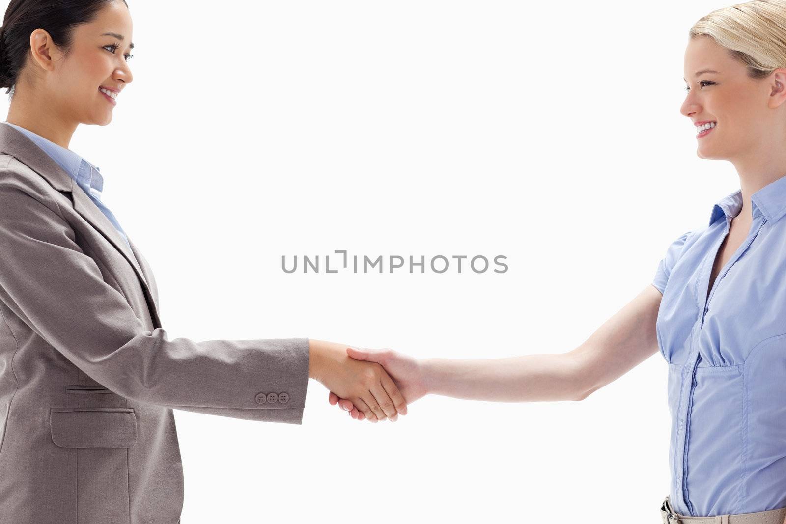 Close-up of women shaking hands against white background