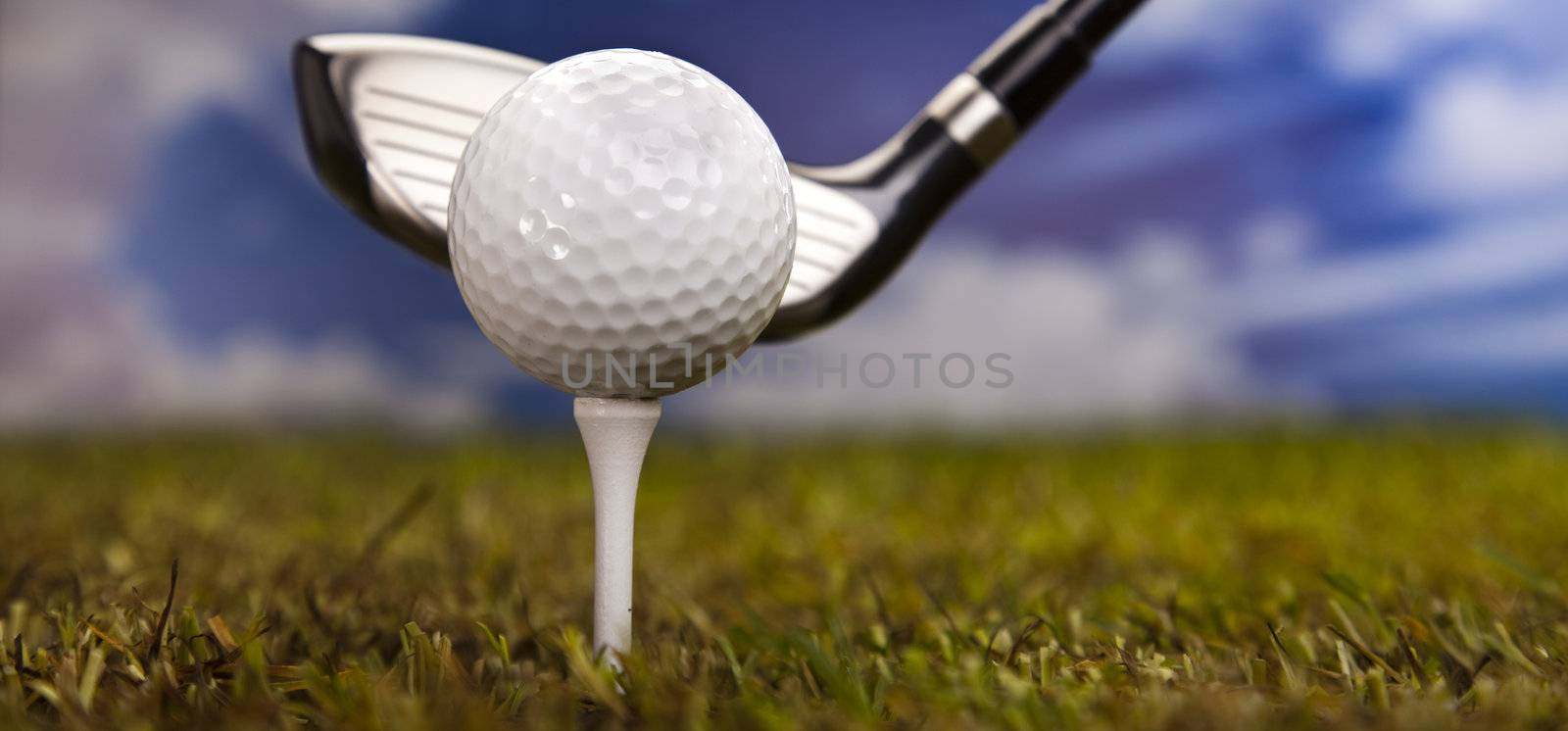 Golf ball on green meadow, driver by JanPietruszka