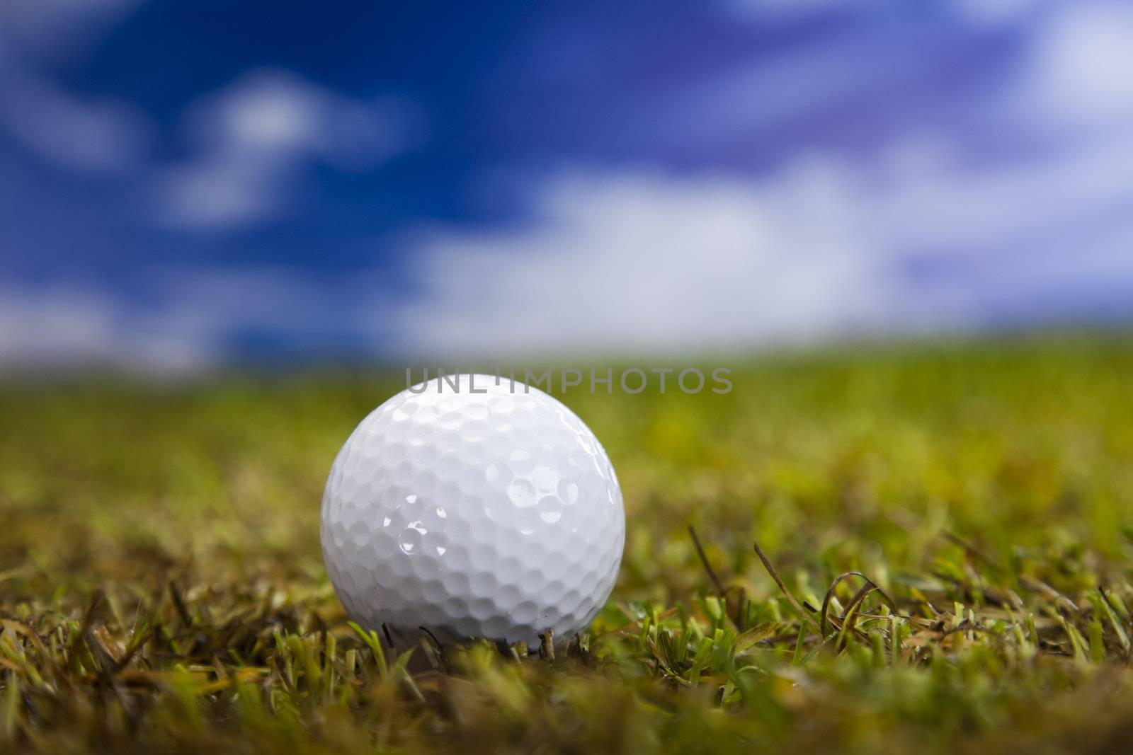 Golf club