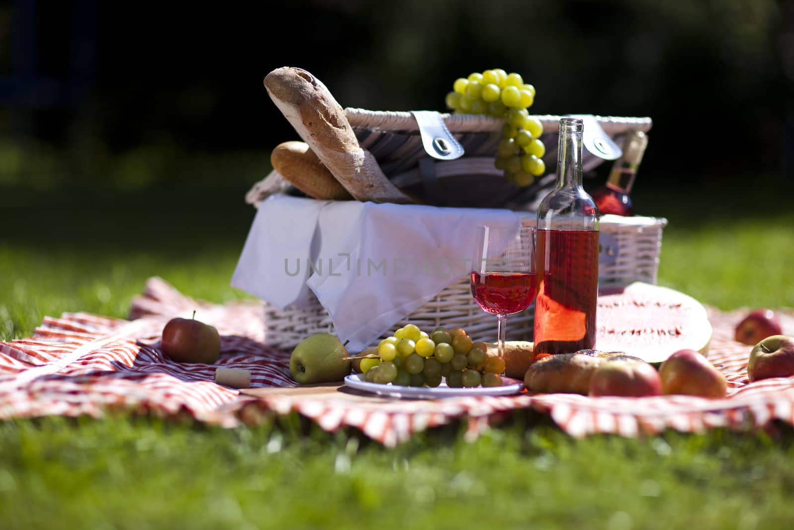 Picnic