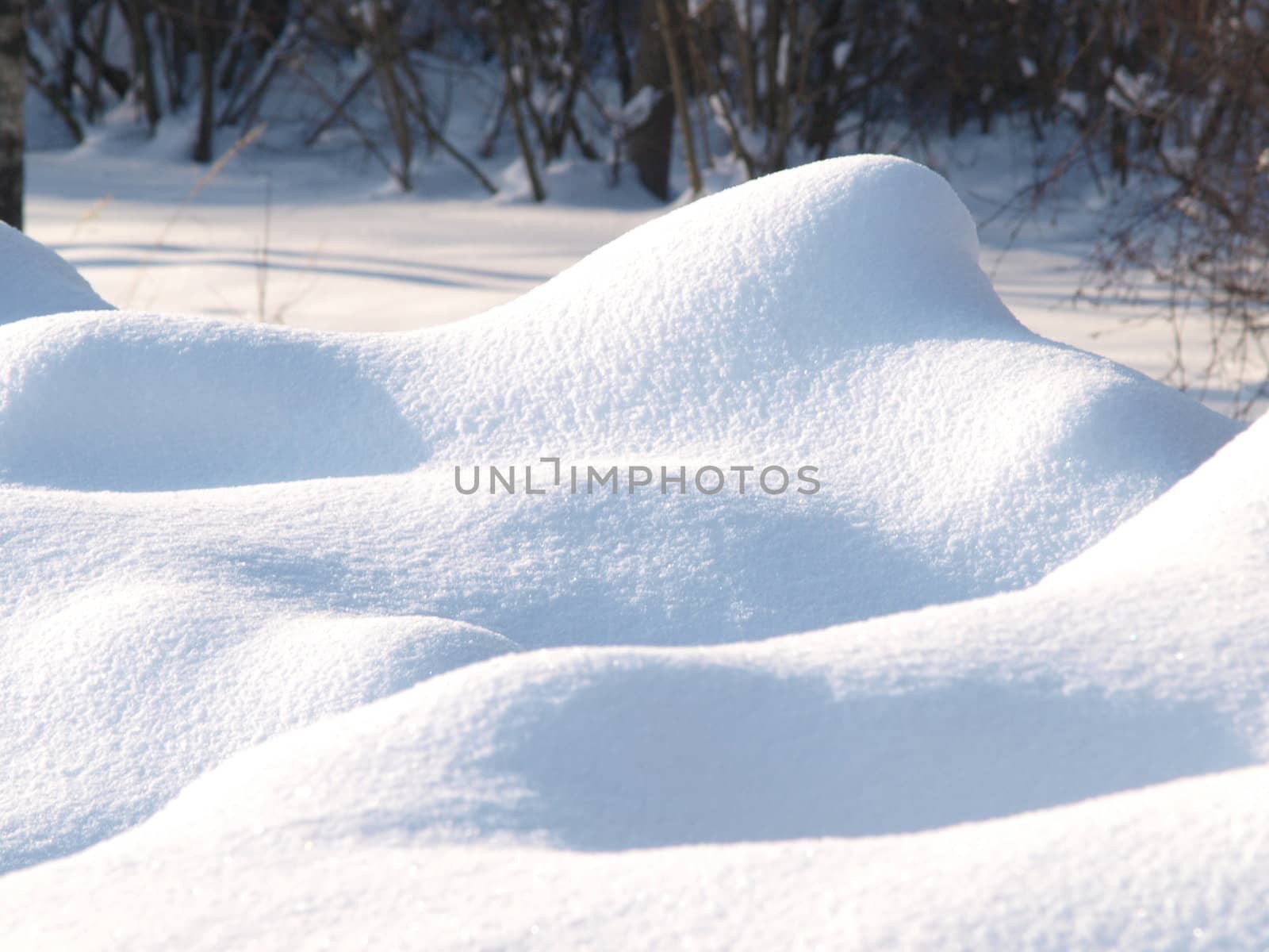 Fresh snow cover, daytime light at winter by Arvebettum