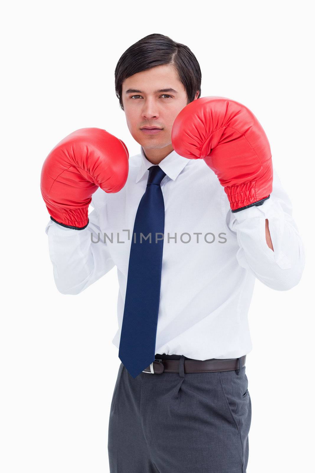 Young tradesman with boxing gloves against a white background