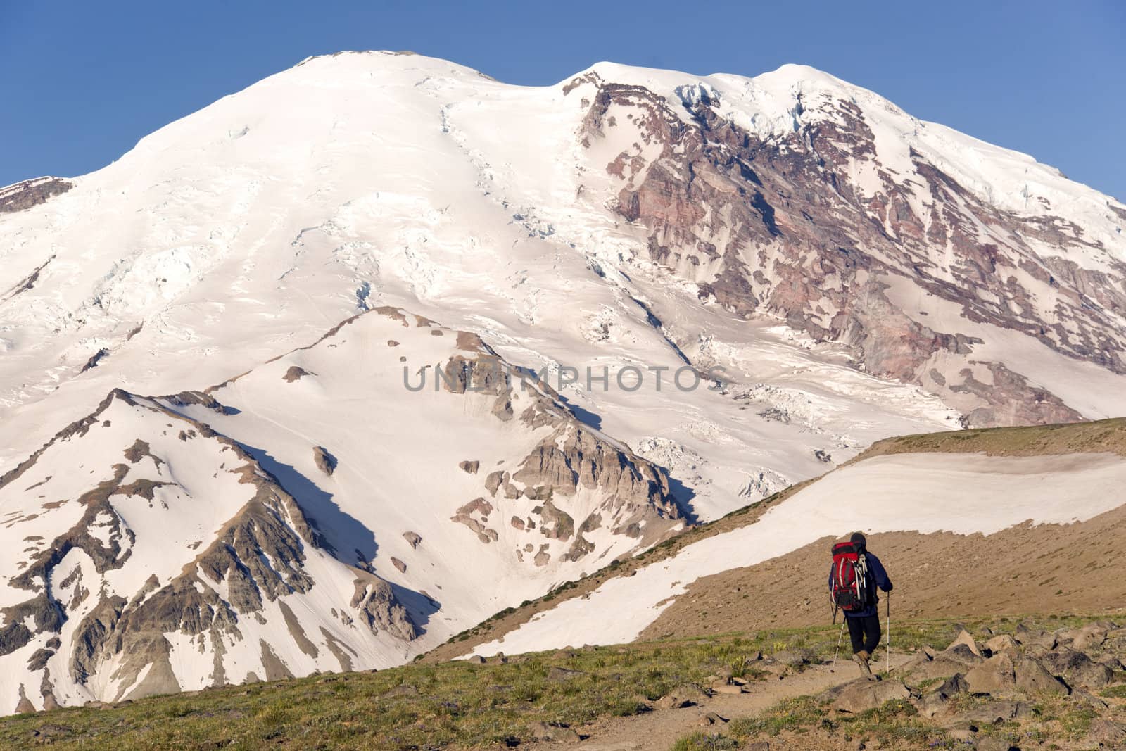 Hiker heads up the trial towards Mount Rainier