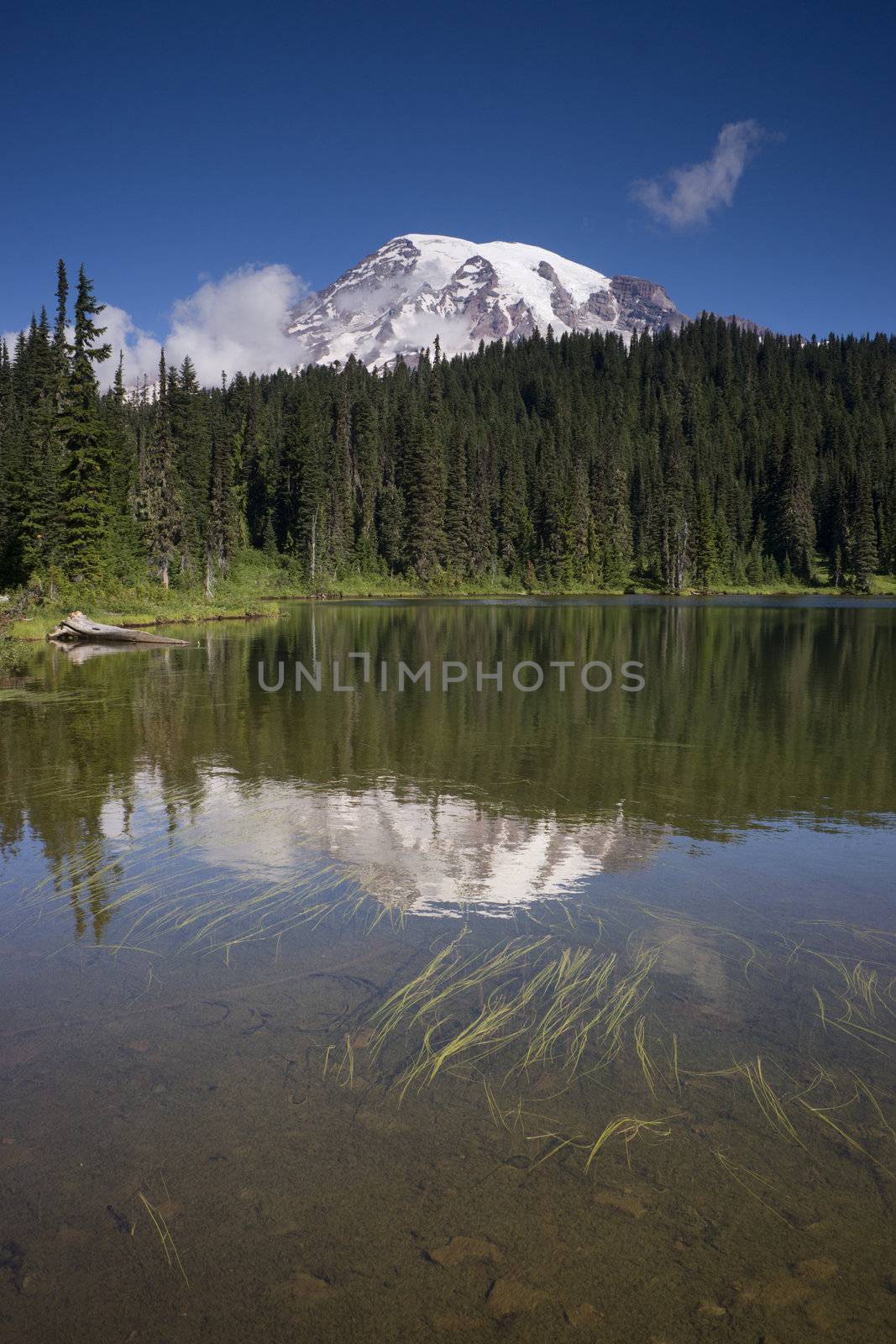 Mt. Rainier above the water at reflection lake