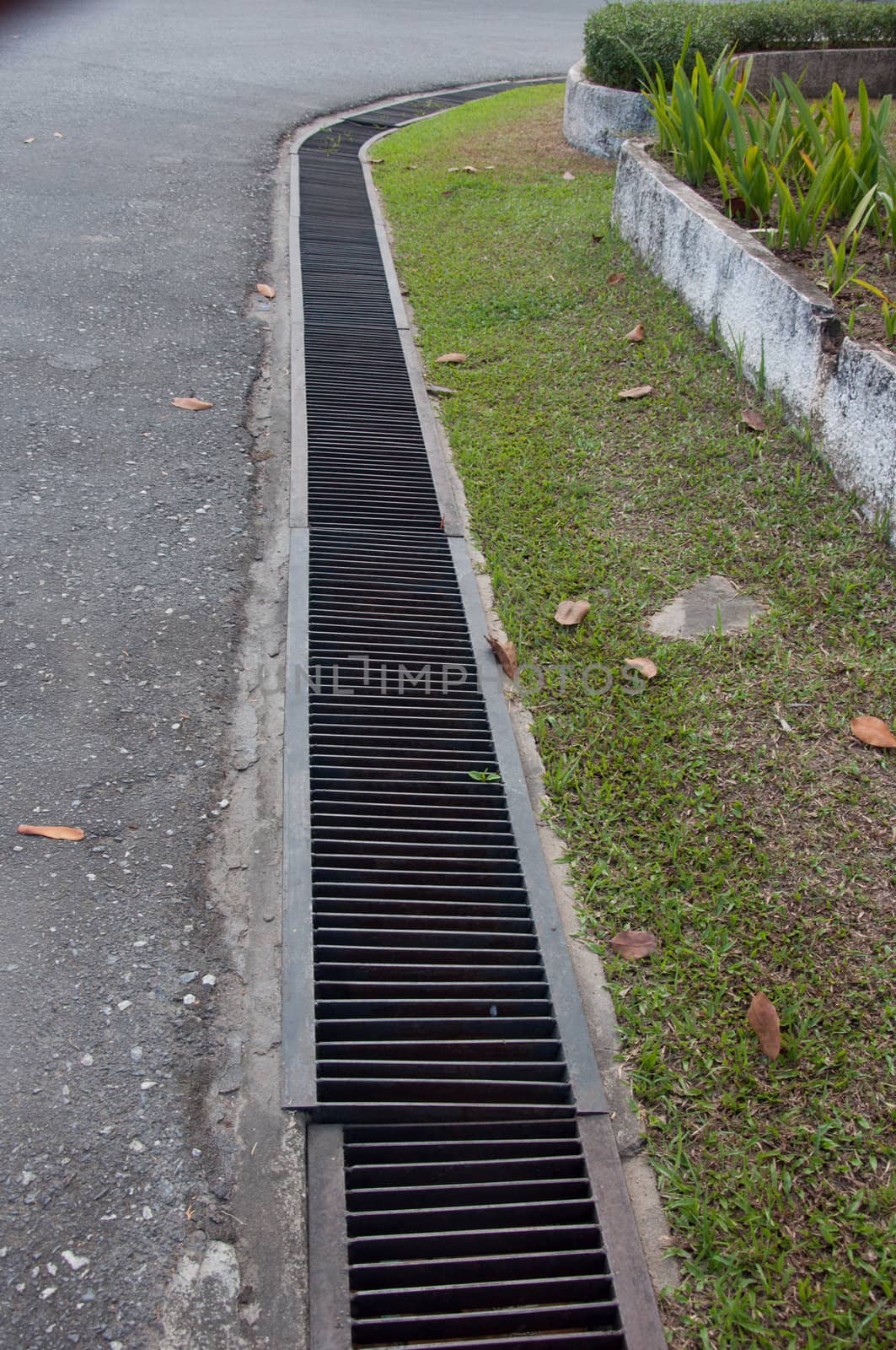 Drain grating by ngarare