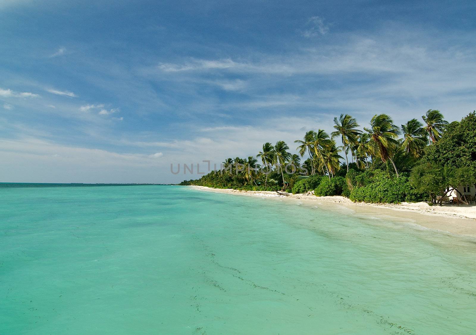 Tropical Maldivian Beach. Indian Ocean Side