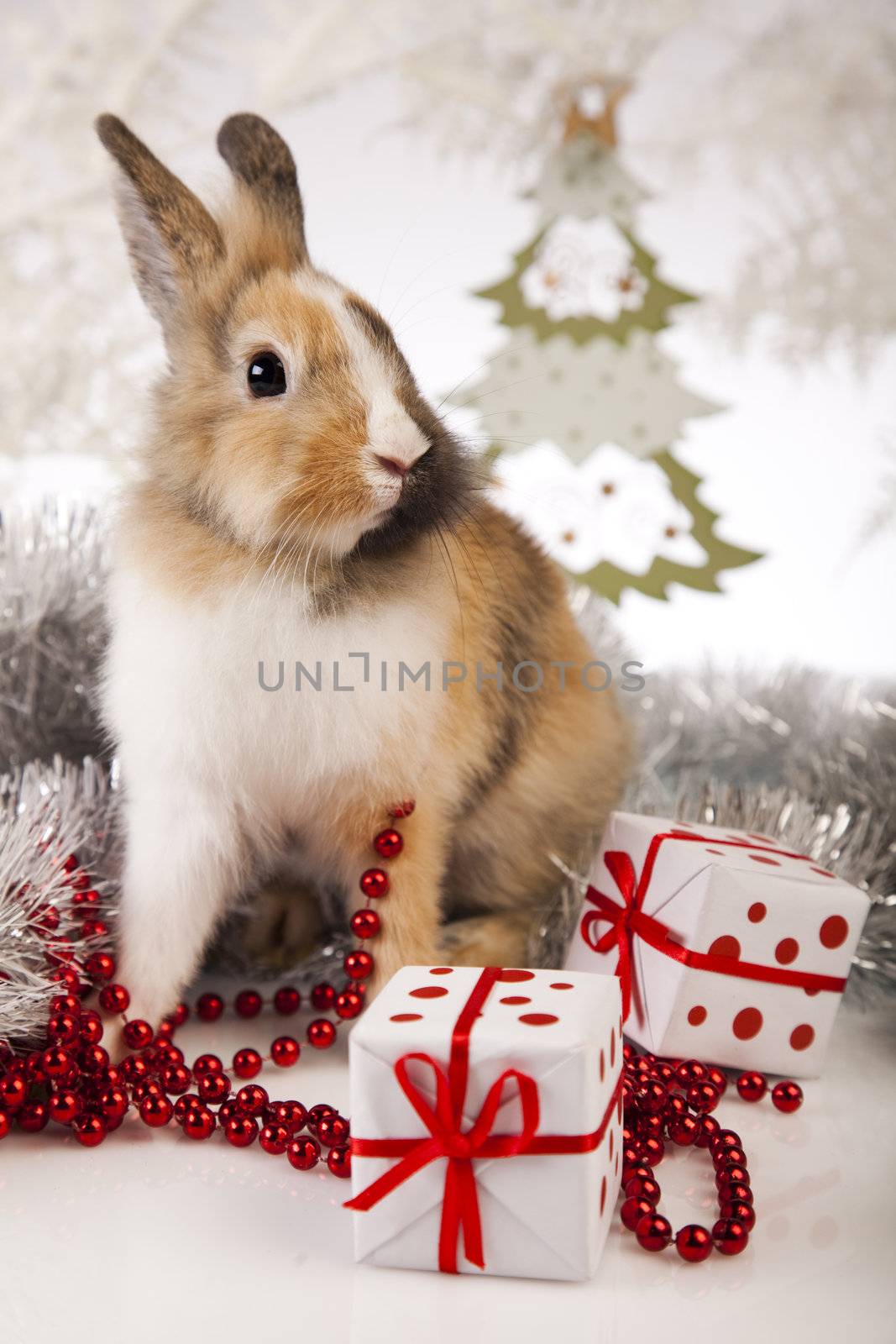 Christmas bunny