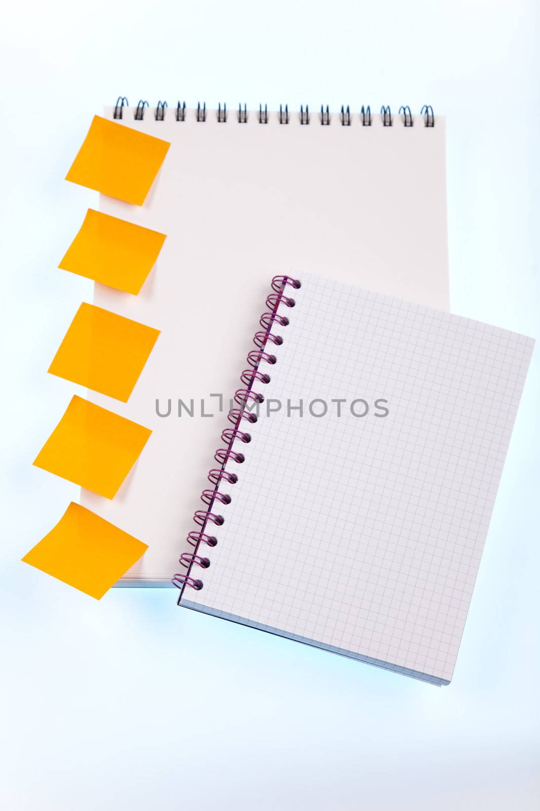 Back to school concept