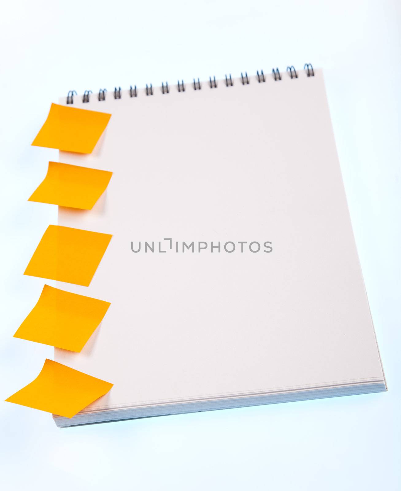 Back to school concept
