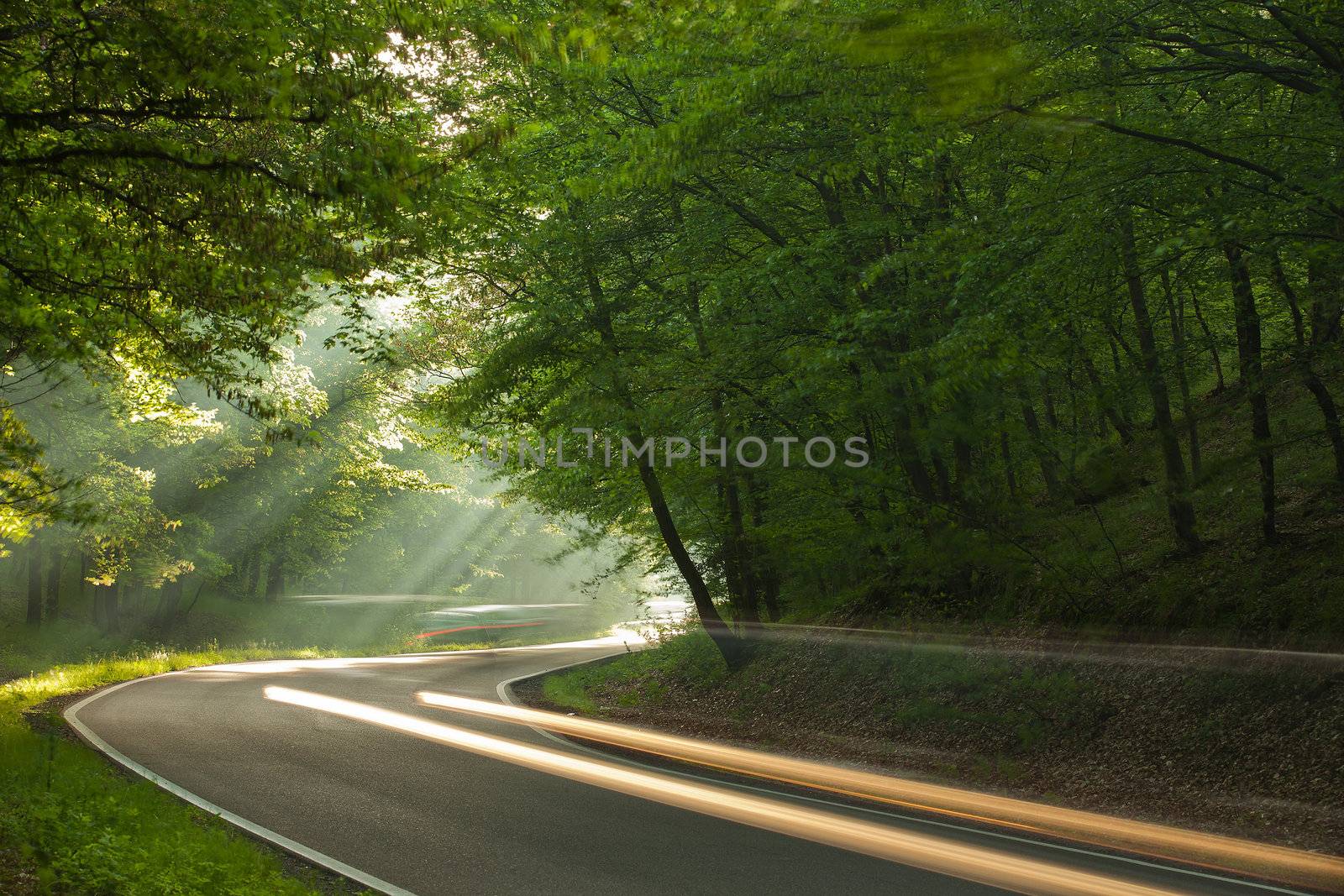 Long exposure on the road in forest in the morning