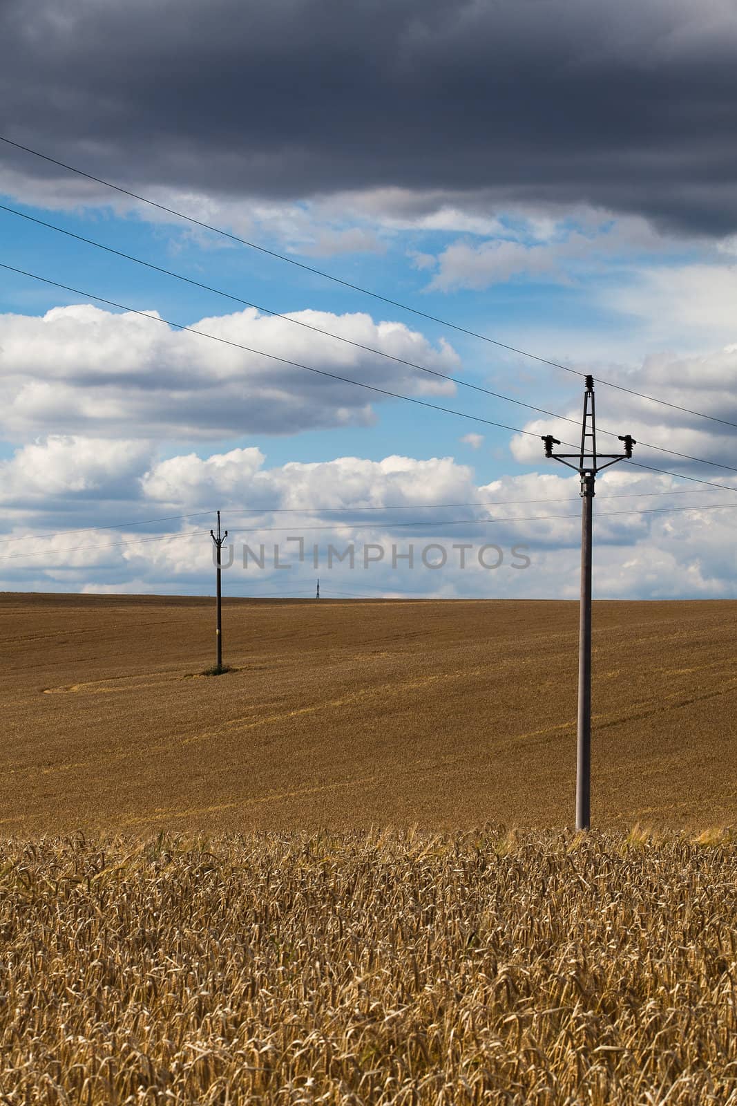 Power-transmission poles on the empty barley field in summer