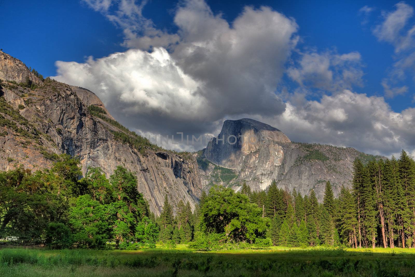 Yosemite National Park, California by CaptureLight