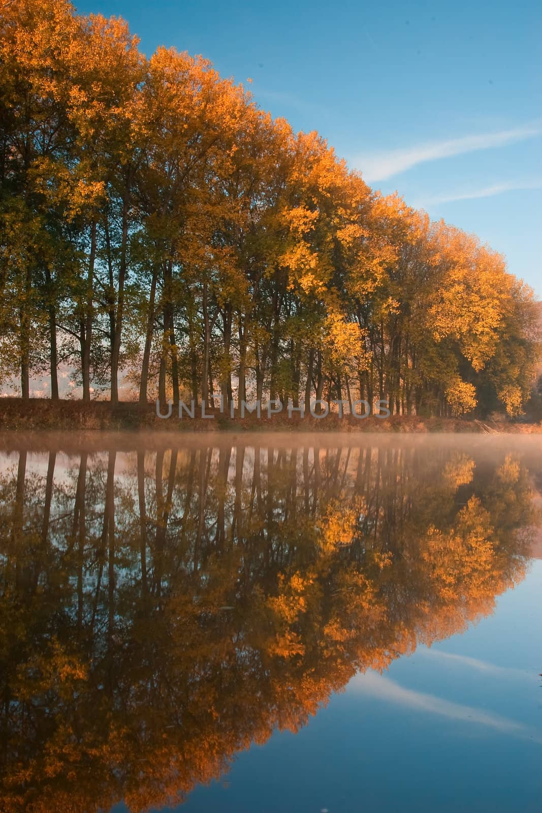 Autumn reflection on the Berounka river in Czech Republic