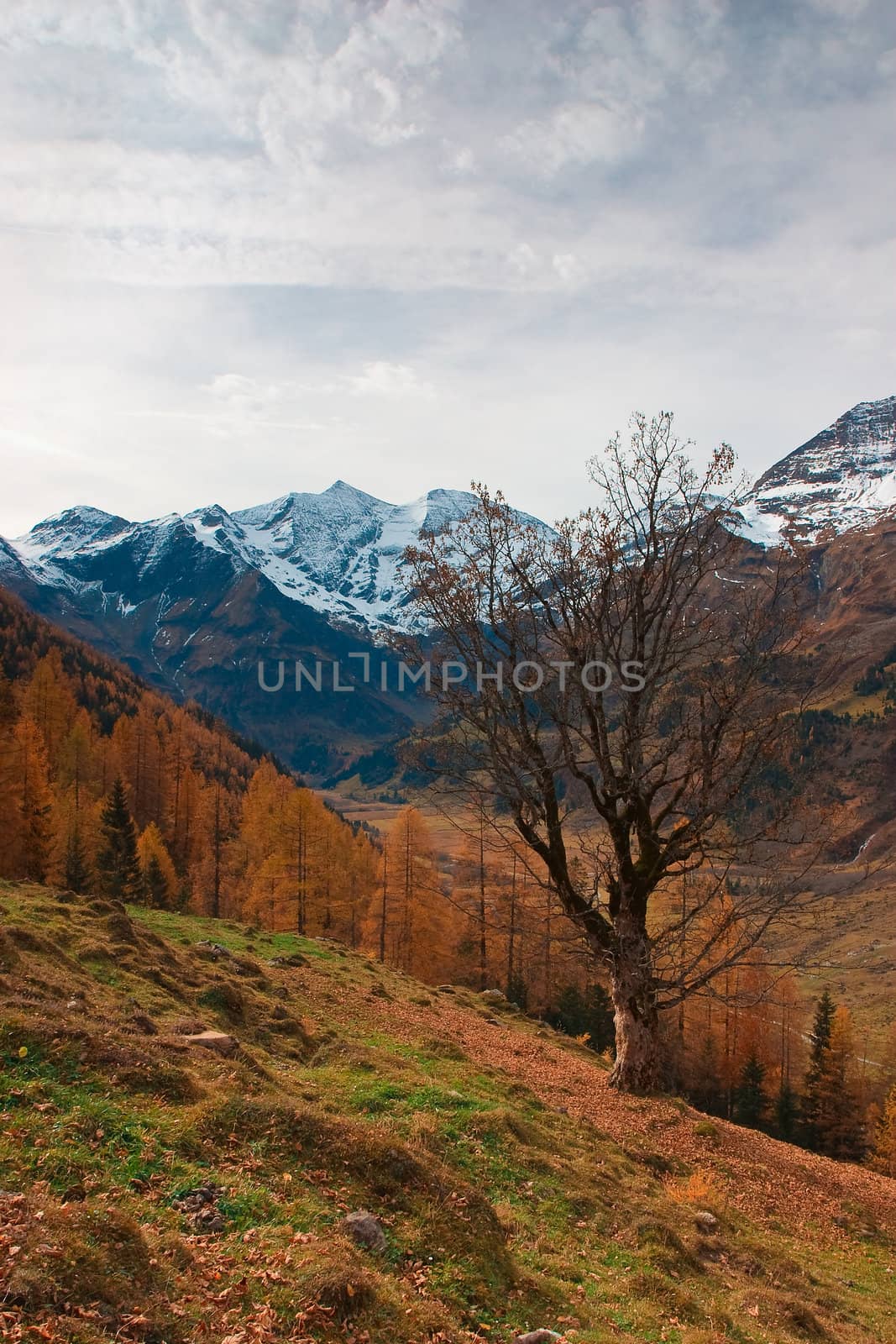 Autumn in the Alps in Austria