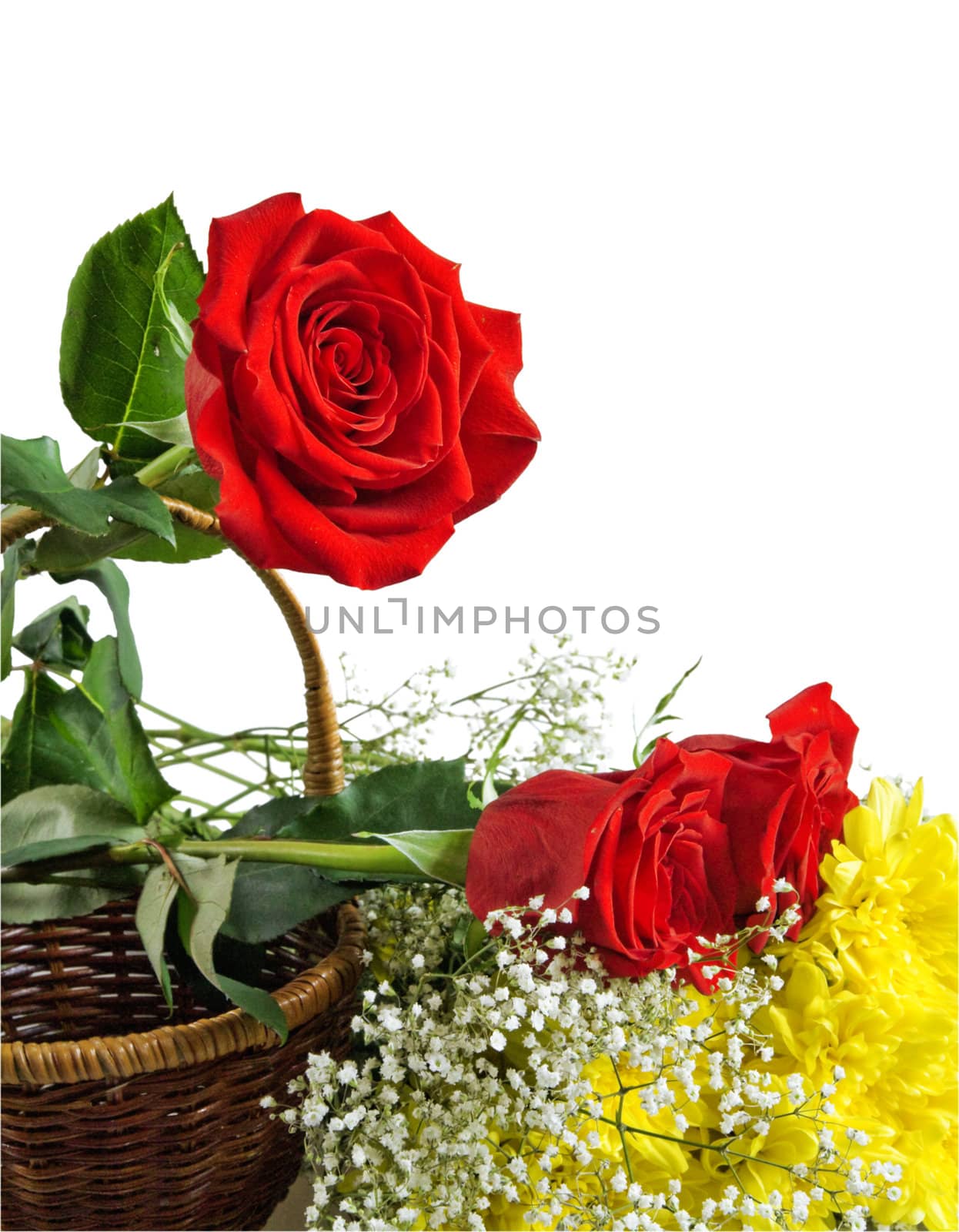 brightly colored flowers on a white background