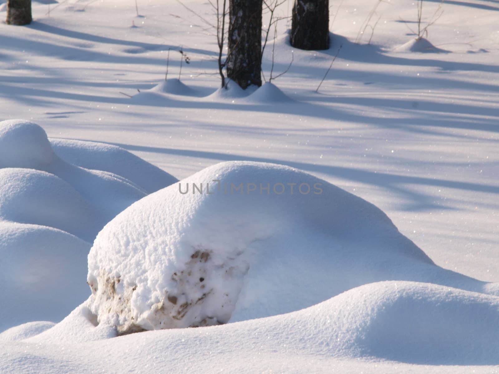 Fresh snow cover, daytime light at winter by Arvebettum