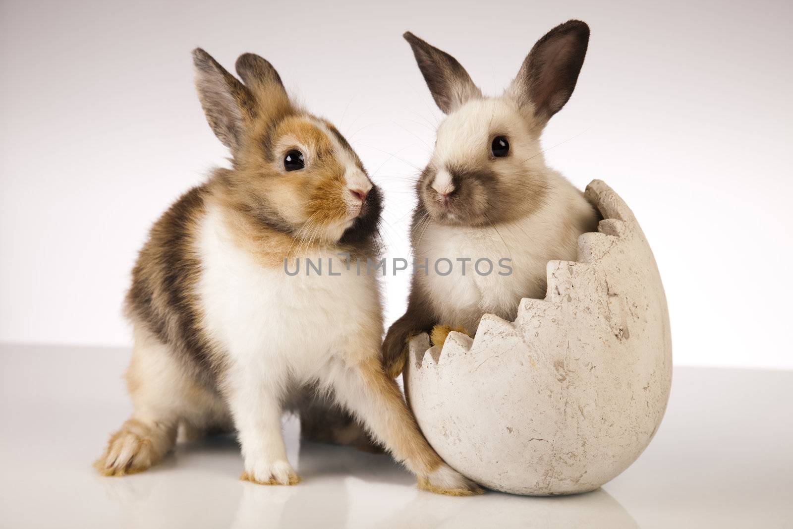 Happy Easter