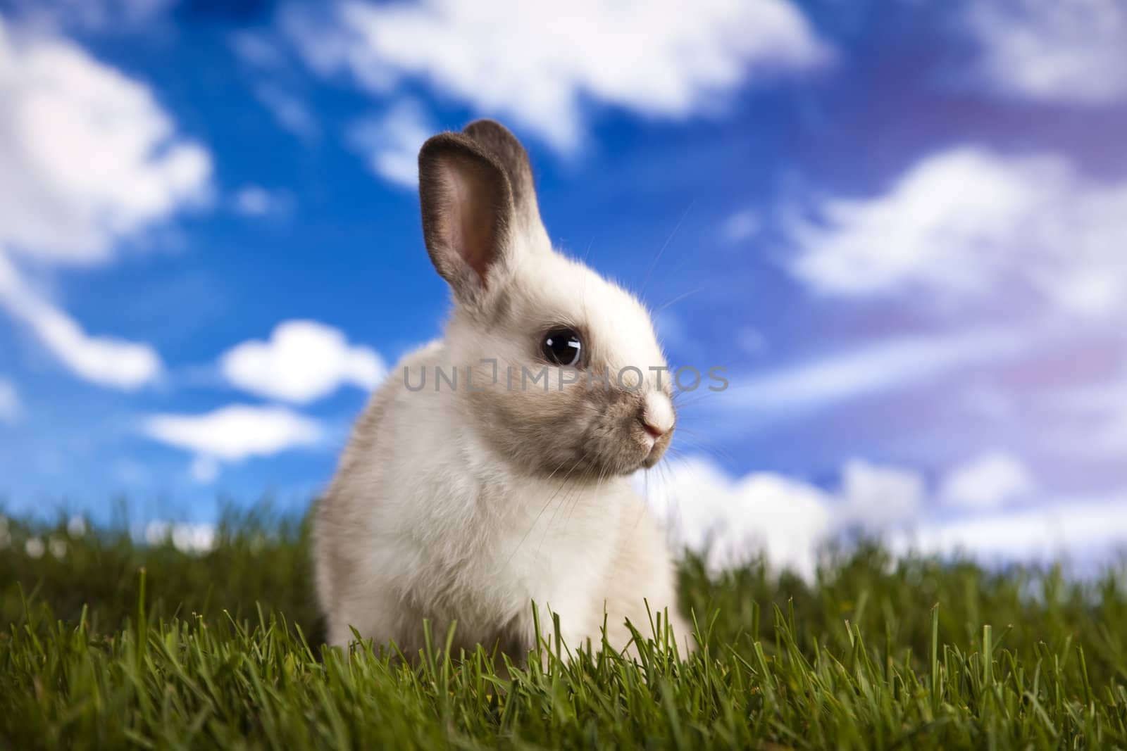 Happy Easter