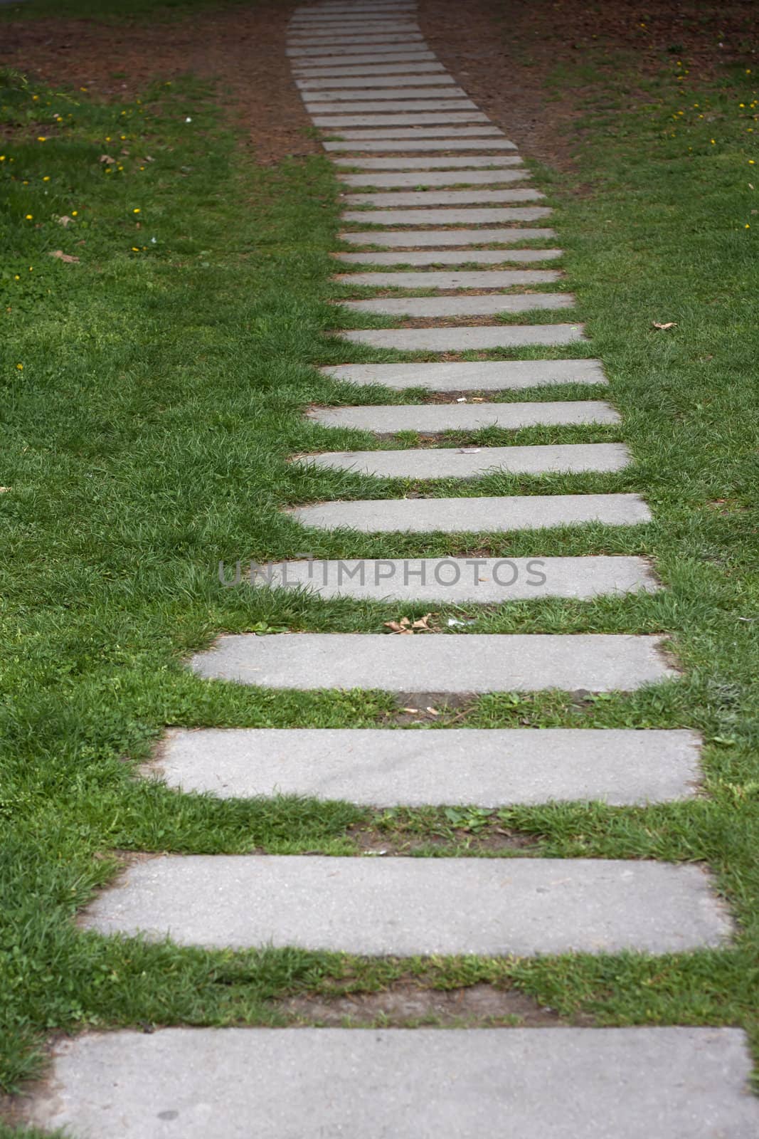 Stone pathway with green grass at France.