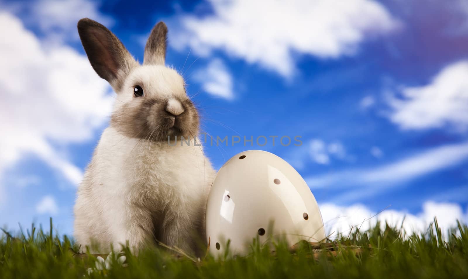 Happy Easter
