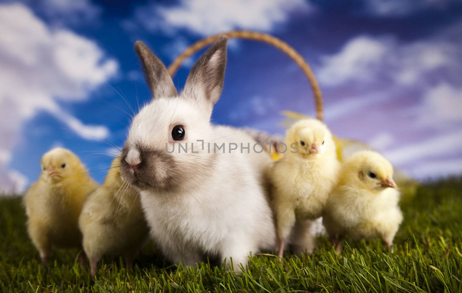 Happy Easter