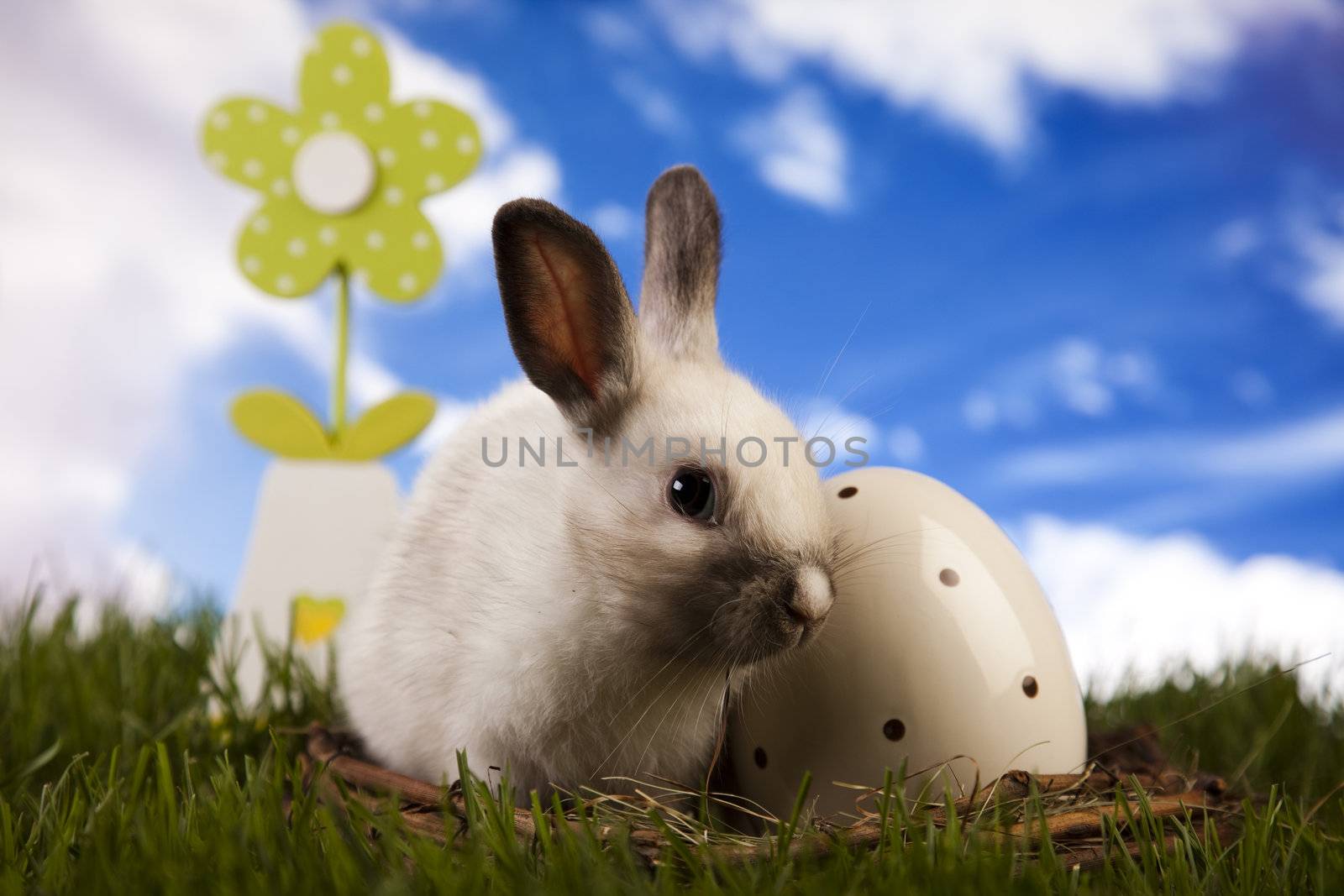 Happy Easter