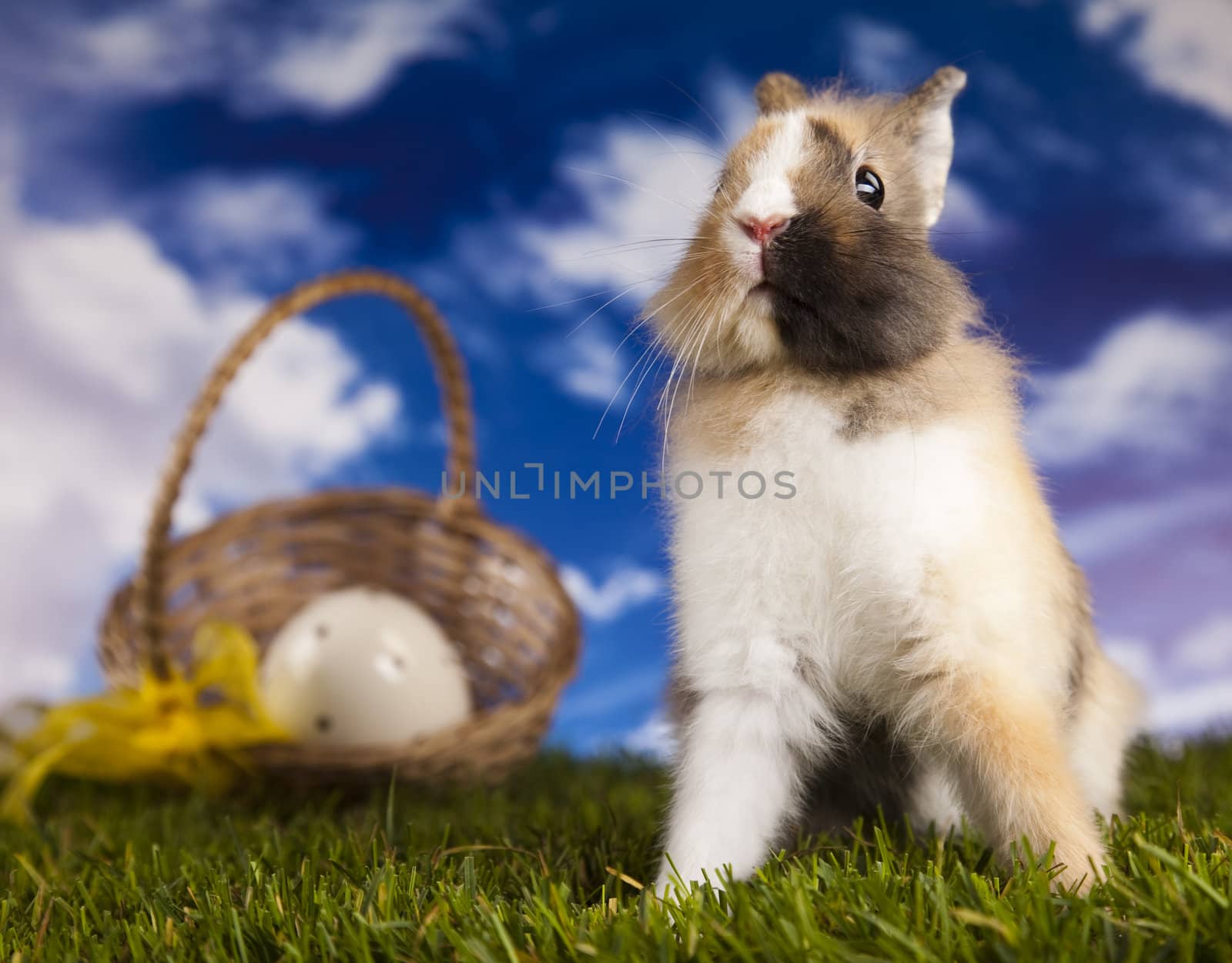 Happy Easter