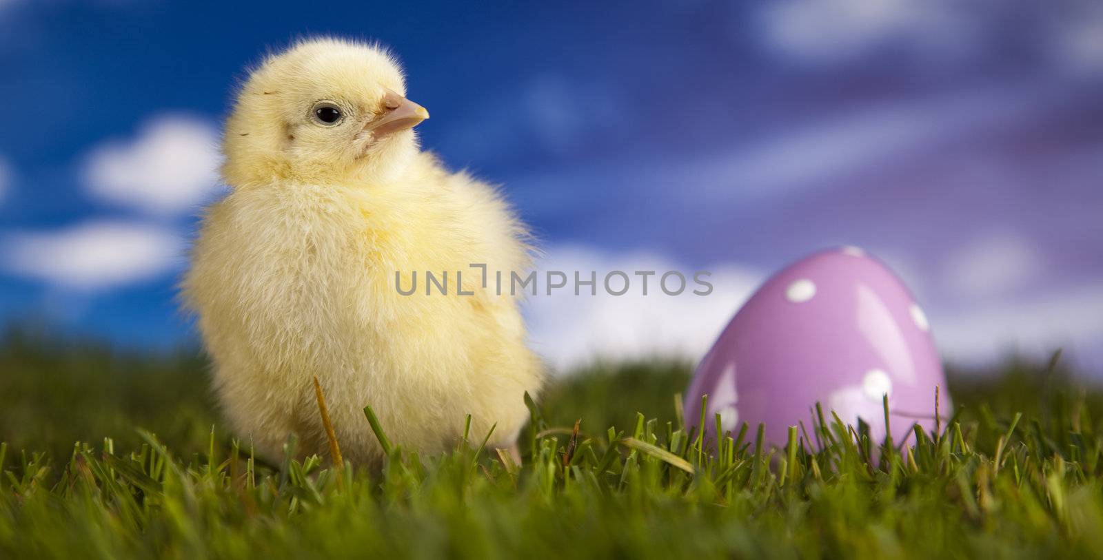 Happy Easter