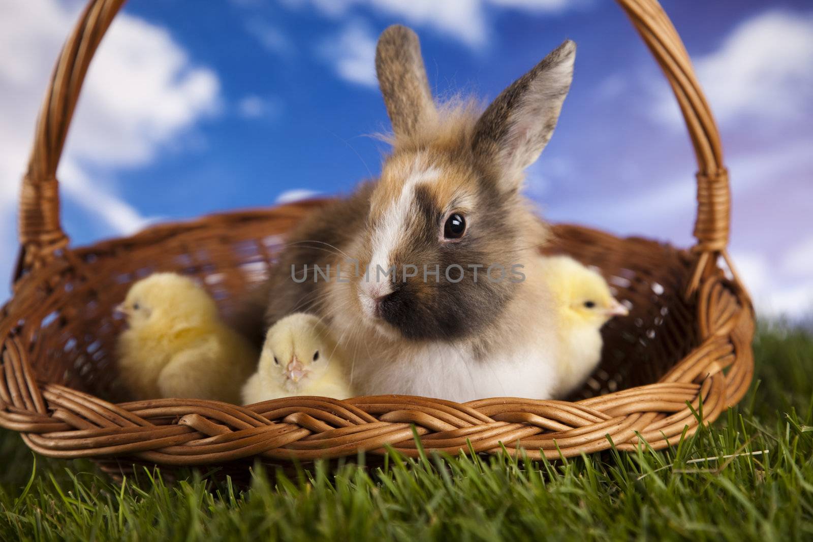 Happy Easter