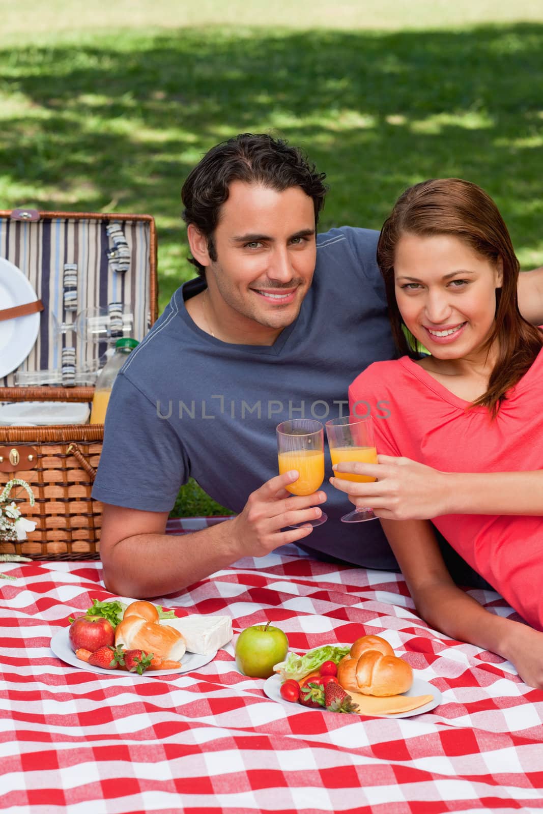 Two friends touching glasses while looking in front during a pic by Wavebreakmedia