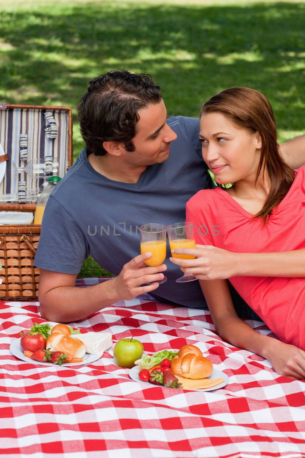 Two friends touching glasses in celebration while looking into each others eyes as they lie on a blanket with a picnic