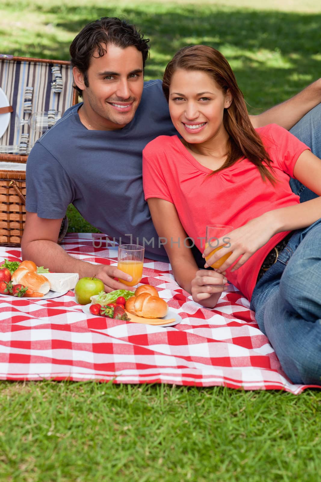 Two friends holding glasses while looking ahead during a picnic by Wavebreakmedia