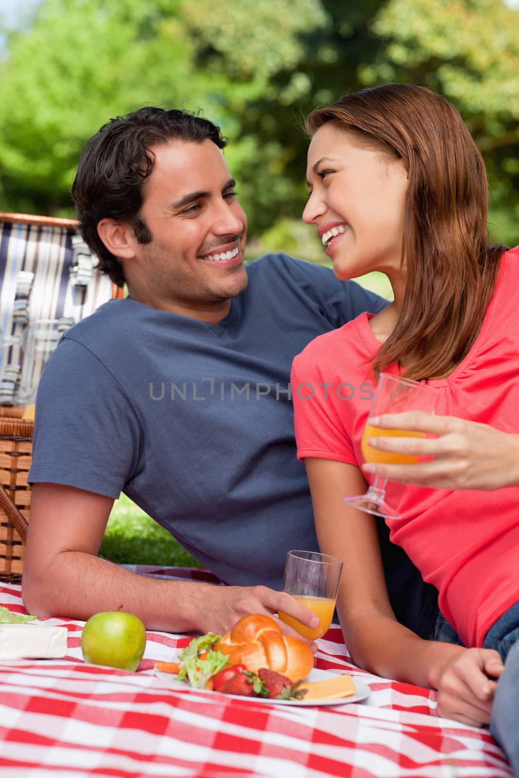 Two smiling friends looking into each others eyes while they hold glasses as they lie on a blanket with a picnic basket and food