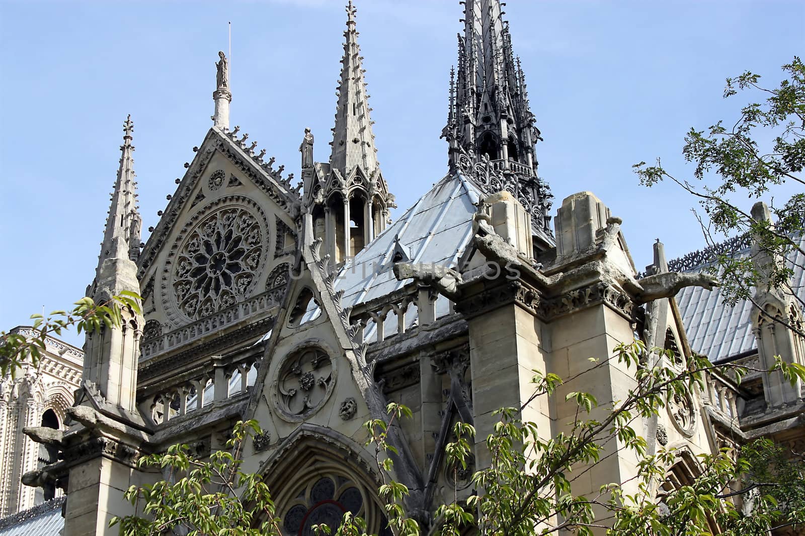 Notre Dame de Paris Cathedral, France