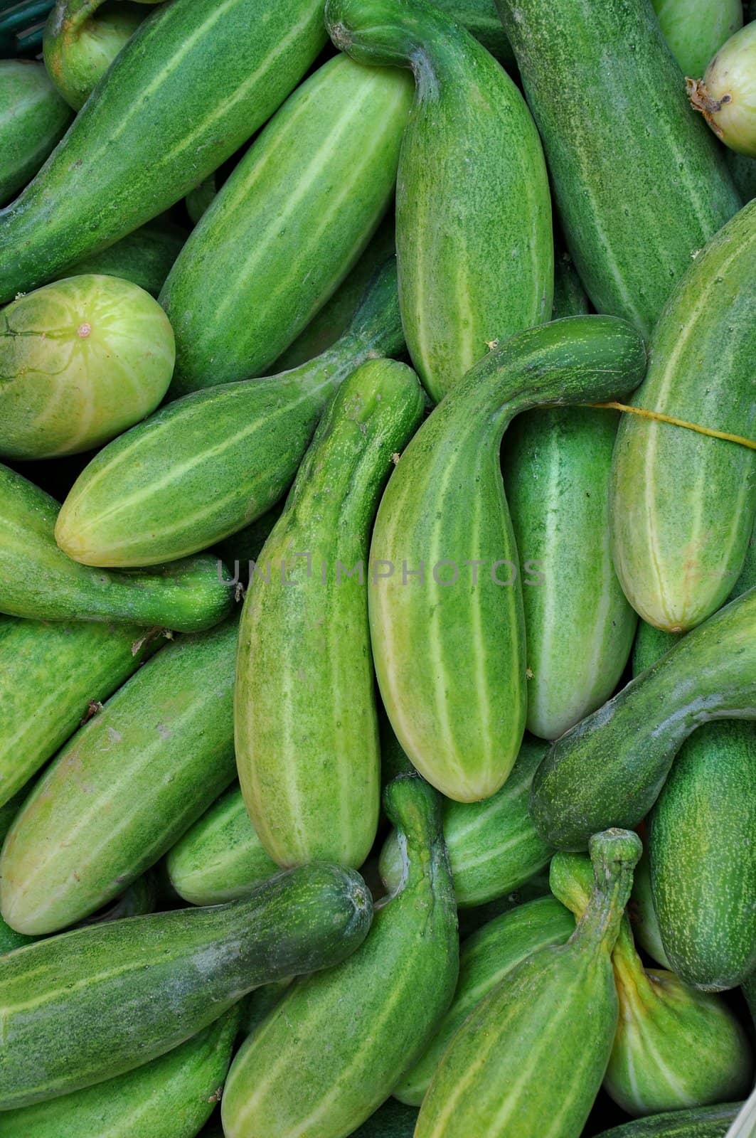 Cucumbers by phanlop88