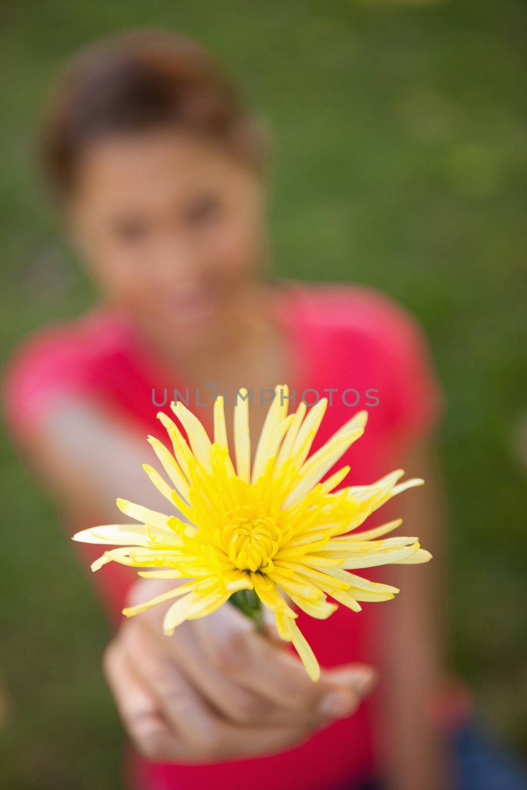 Woman holding a yellow flower in one hand at arms reach with focus on the flower