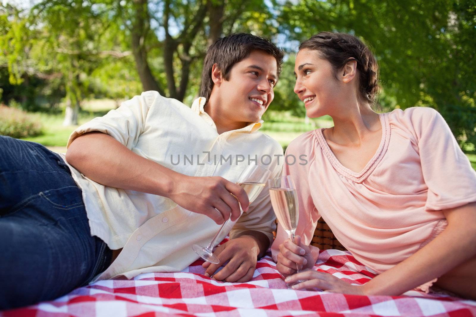 Two friends smiling as they look at each other while holding glasses of champagne during a picnic