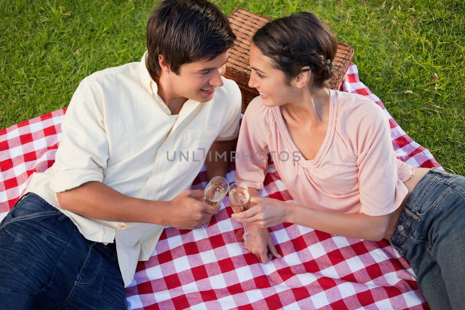 Man and a woman looking at each other while smiling and holding glasses of champagne during a picnic